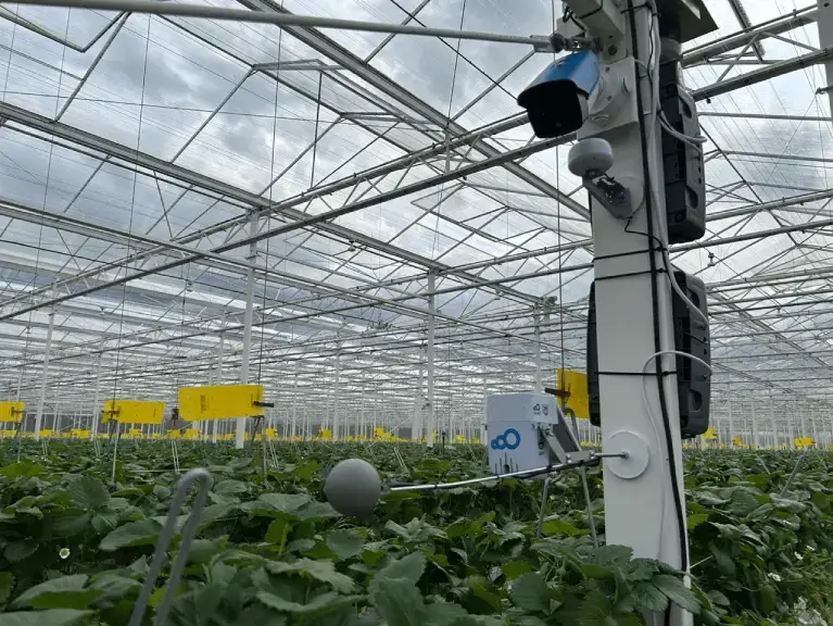 hero-bannner-img-mobile