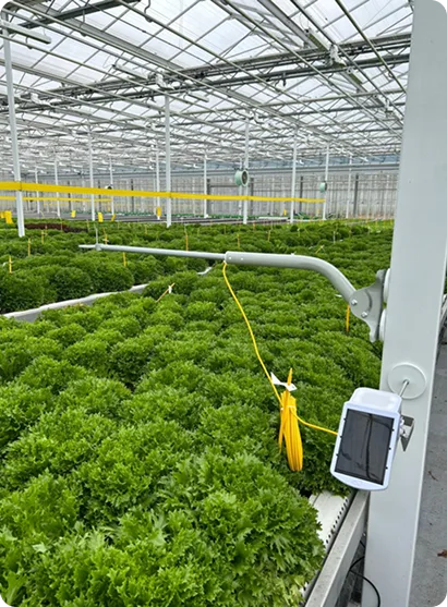 real-impact-on-crop-health-productivity