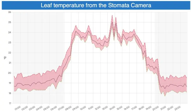 Plant stress indicators in high-wire greenhouse cultivation system