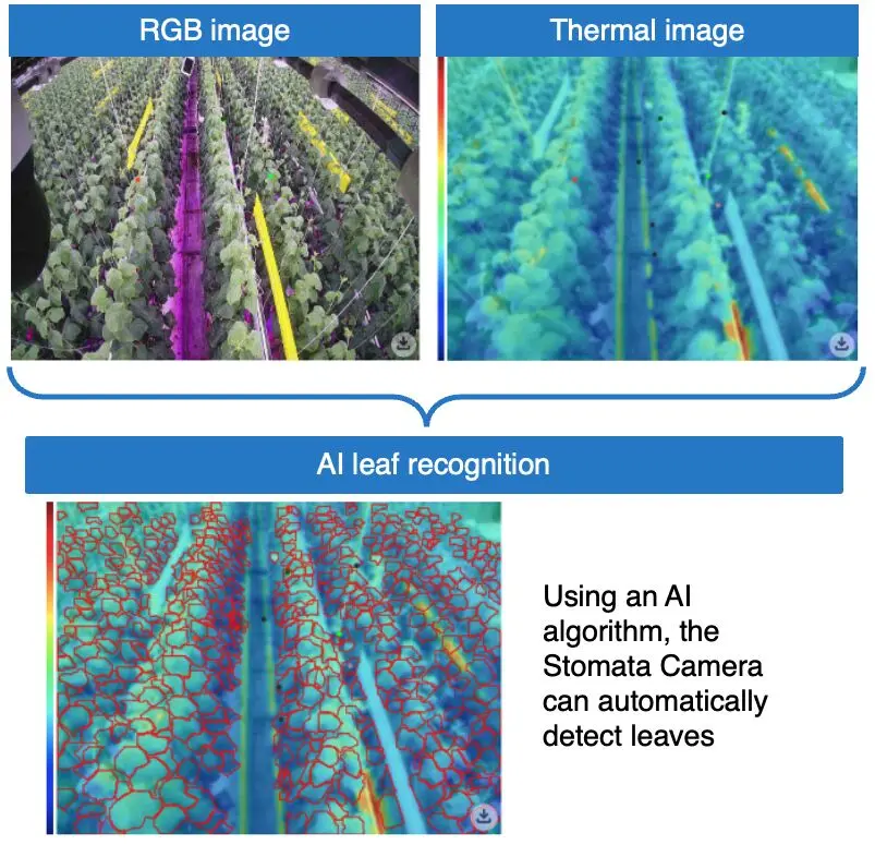 Greenhouse temperature and humidity data influencing crop activity levels