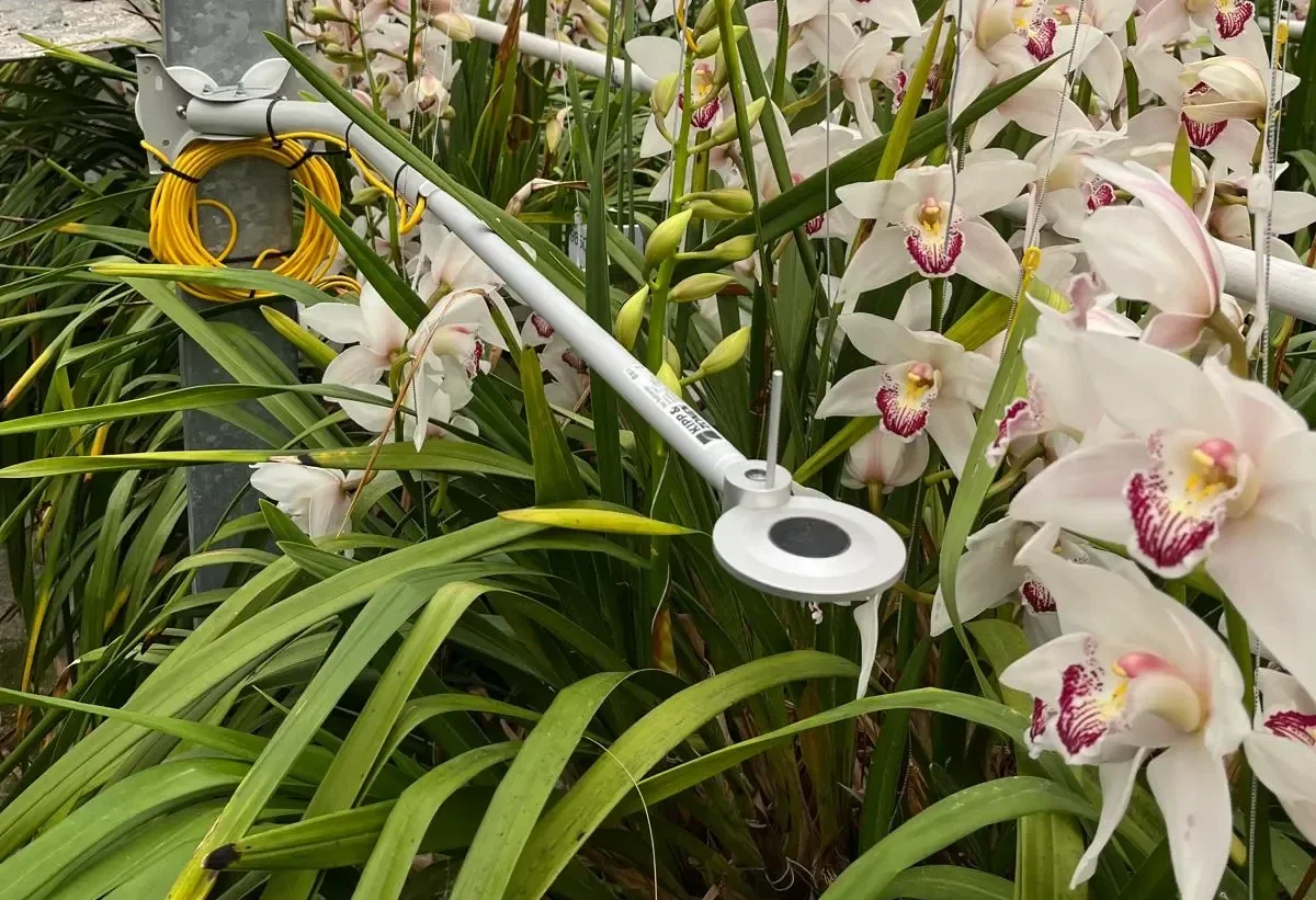 Sigrow Net Radiometer sensor measuring crop energy balance in an orchid greenhouse