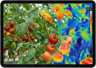 Fotograma de la Sigrow Stomata Camera – tecnología patentada de fusión térmica-RGB