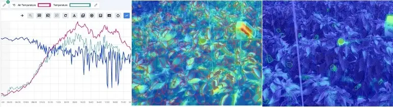 Graphique climatique Sigrow avec une température qui monte, à côté de deux images thermiques de la Stomata Camera d'une culture de poivron, pour lire la ventilation de la serre et la VPD