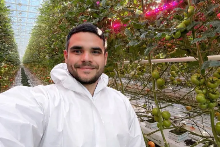 Grower in a high-tech tomato greenhouse with LED grow lights, where limiting ventilation helps manage heat stress and crop VPD