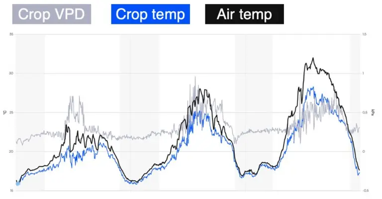 Sigrow chart comparing crop VPD, crop temperature and air temperature across several hot days in a greenhouse