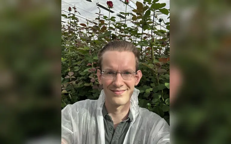 Timon van Lemmen of Sigrow in a rose grower's greenhouse during a customer success visit