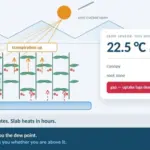 Sigrow sensor data showing the 09:00 canopy-to-root-zone temperature gap and calcium uptake lag in a tomato greenhouse