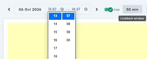 Meanmap in the Sigrow web app with the new lookback window set to 30 minutes